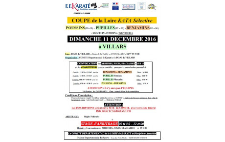 Coupe de la Loire de Kata