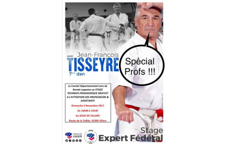 Stage J F Tisseyre spécial Prof le 05/11/17